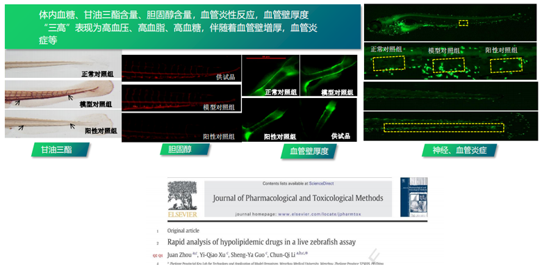 降糖降脂功效评价