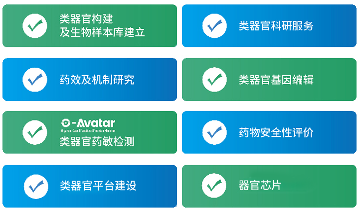 类器官服务项目.png